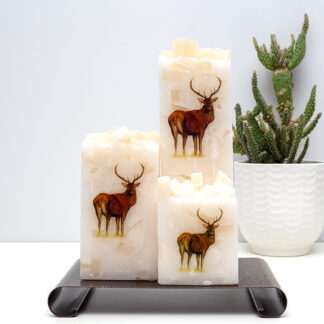 Square Candles - Stag set