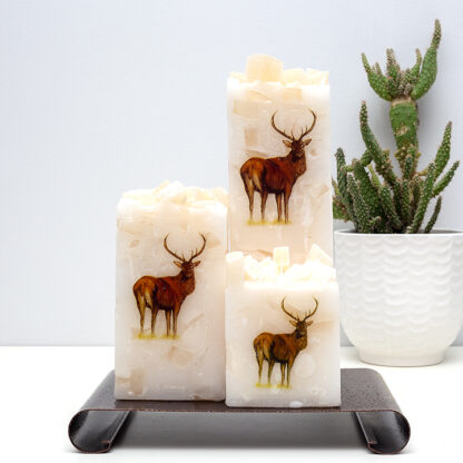 Square Candles - Stag set